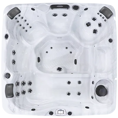 Avalon-X EC-840LX hot tubs for sale in West PalmBeach