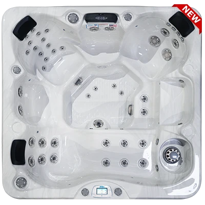 Avalon-X EC-849LX hot tubs for sale in West PalmBeach