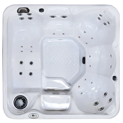 Hawaiian PZ-636L hot tubs for sale in West PalmBeach